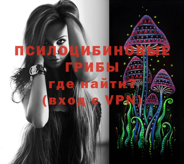 стаф Абдулино