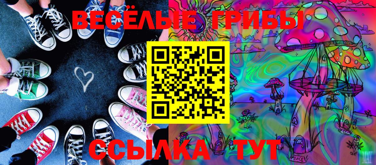 Галлюциногенные грибы ЛСД  Галлюциногенные грибы мицелий  Вход с VPN  Новоалександровск 
