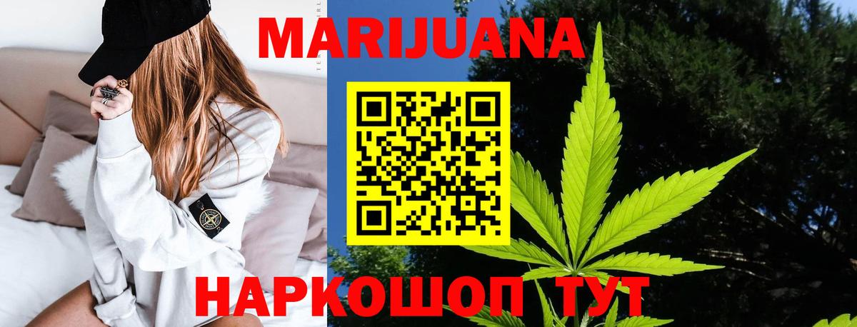 Каннабис план Новоалександровск